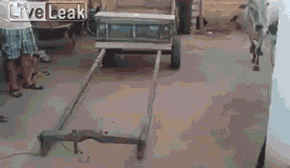 1665608675283.gif