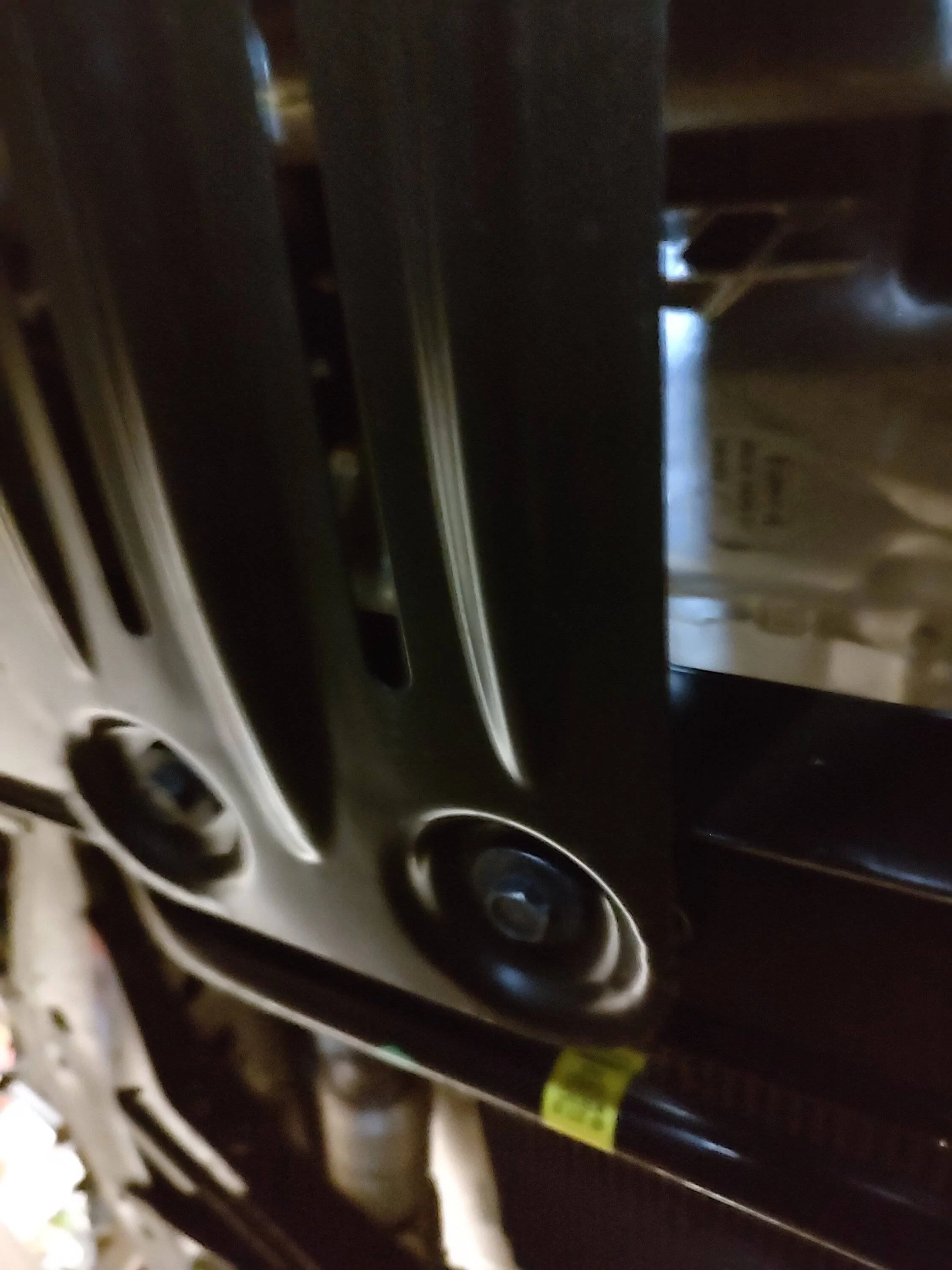 OC3.webp