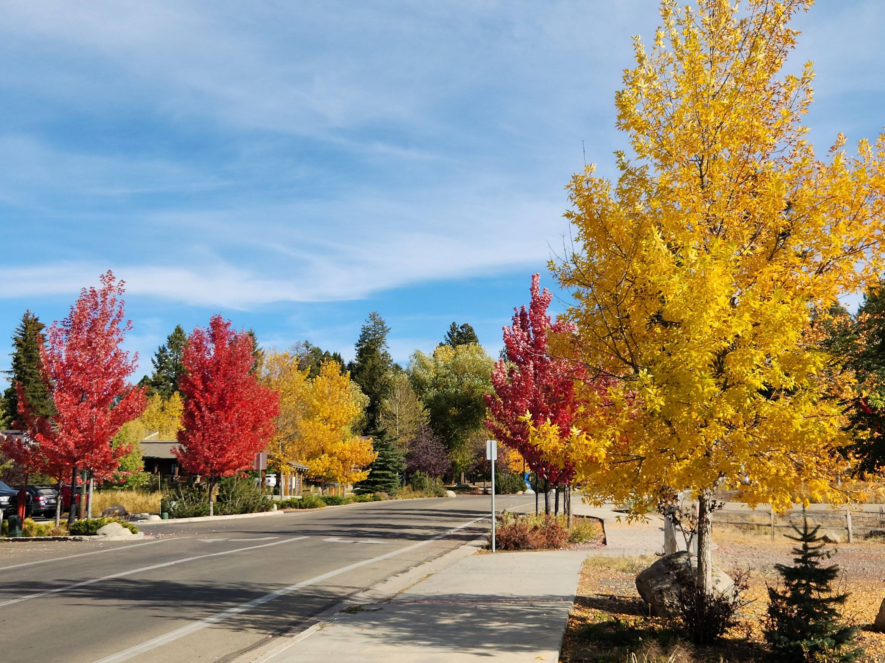 Fall 101322.jpg