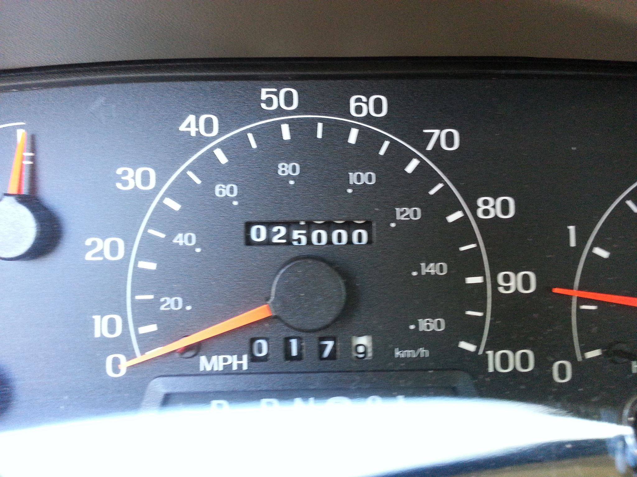 337204_3972998283217_201243573_o.jpg