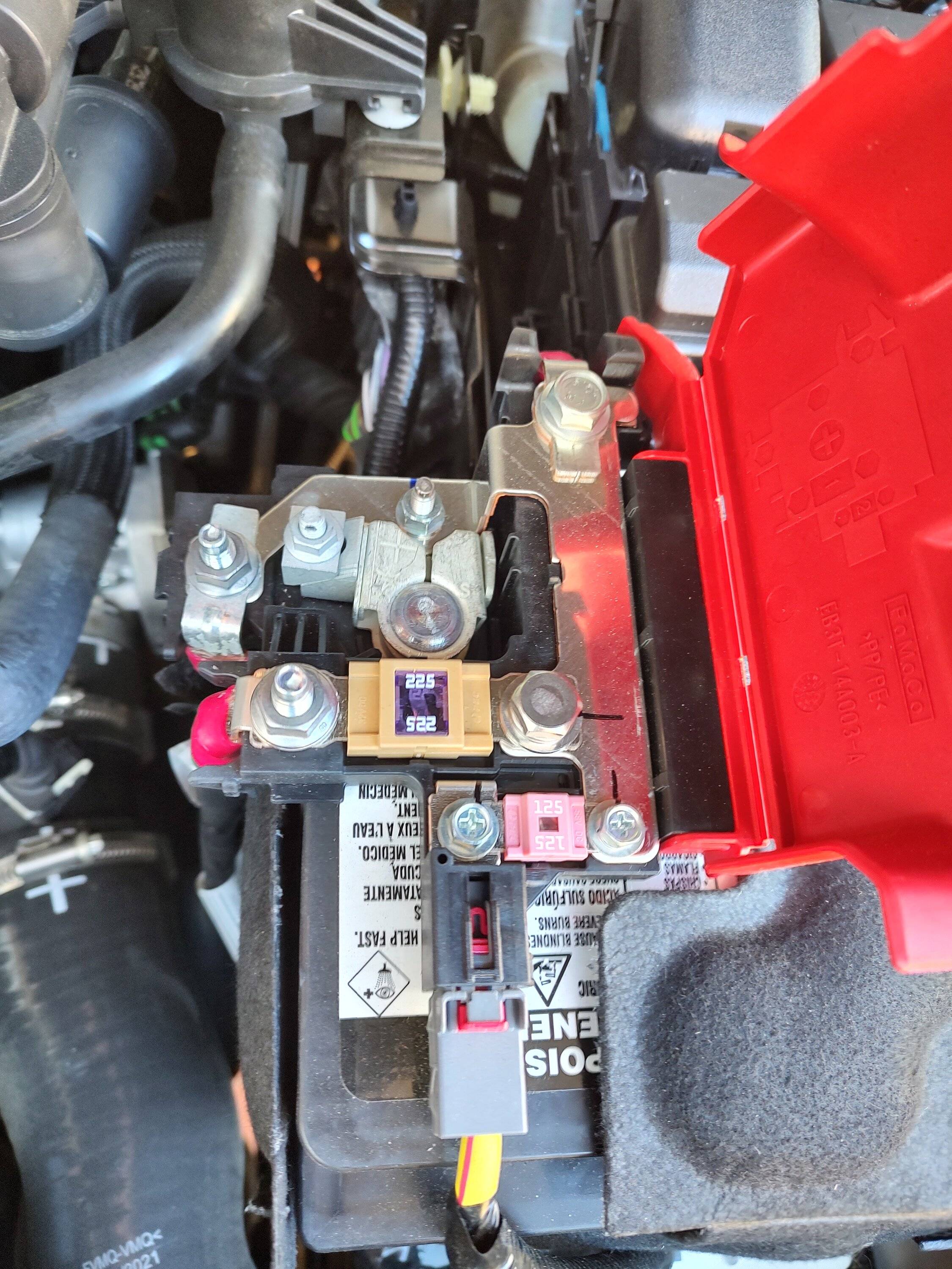 IMG_20221014_111806181_HDR.jpg
