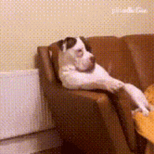 1665925251651.gif