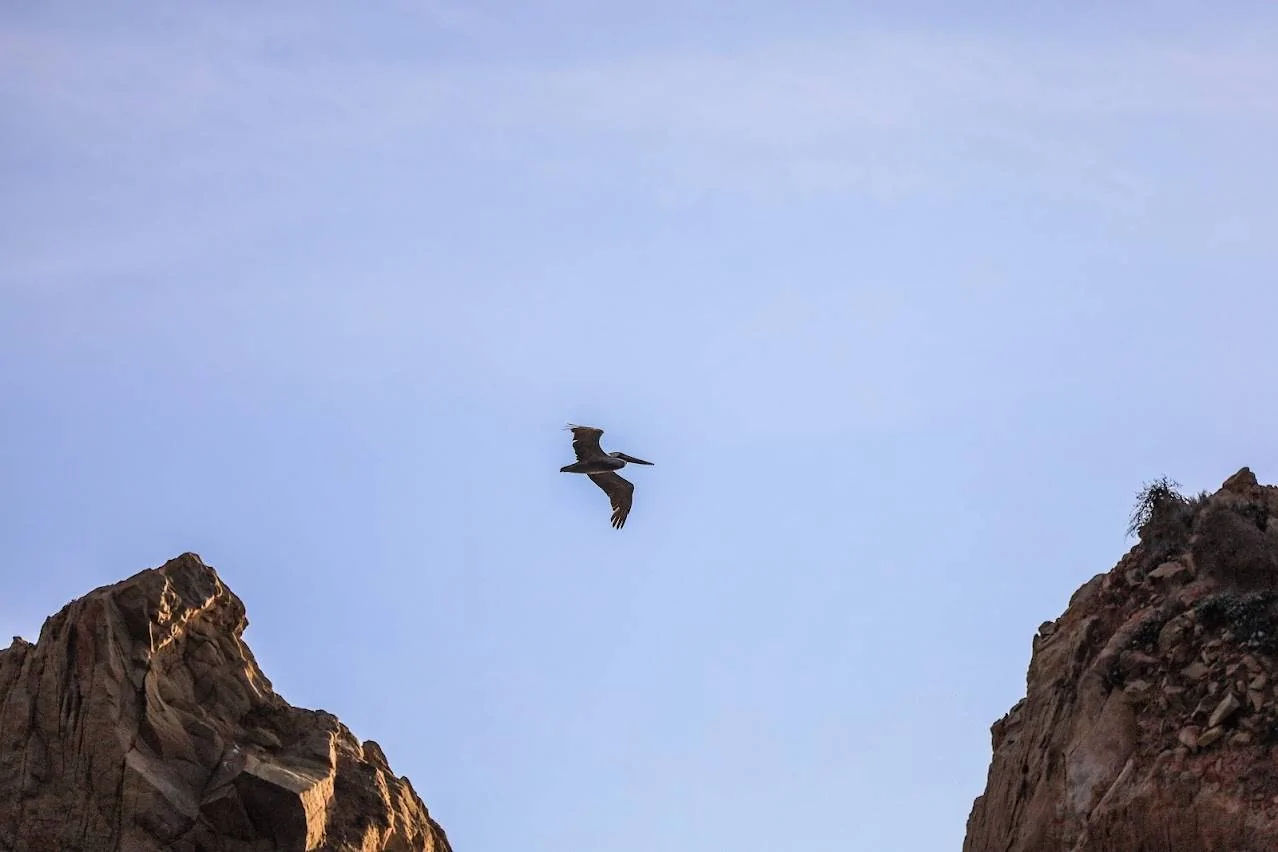 P67_5X-tEk6lvgZa3mF7IJP2Q=w1278-h852-no?authuser=0.webp