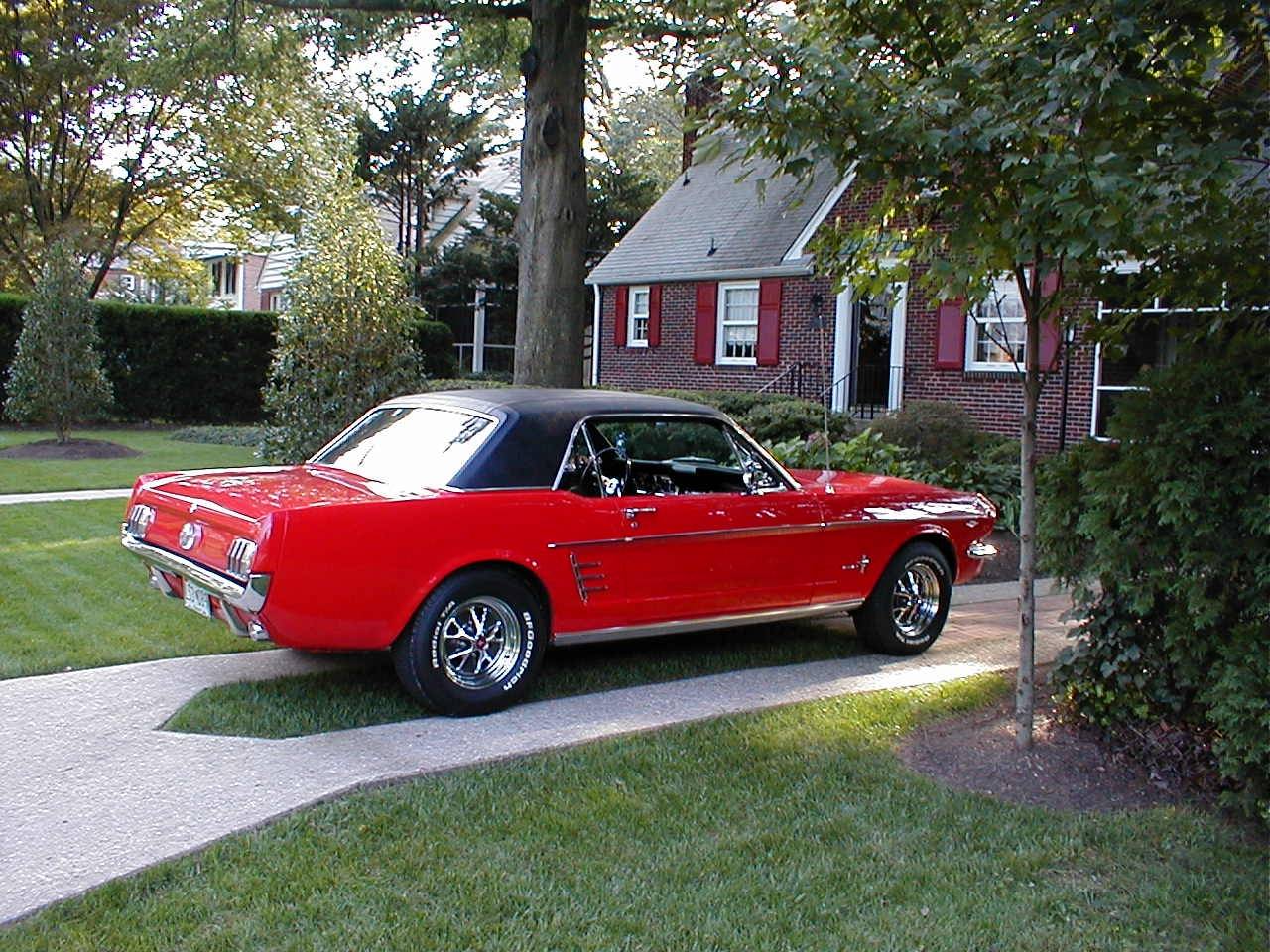 66 Mustang.jpg