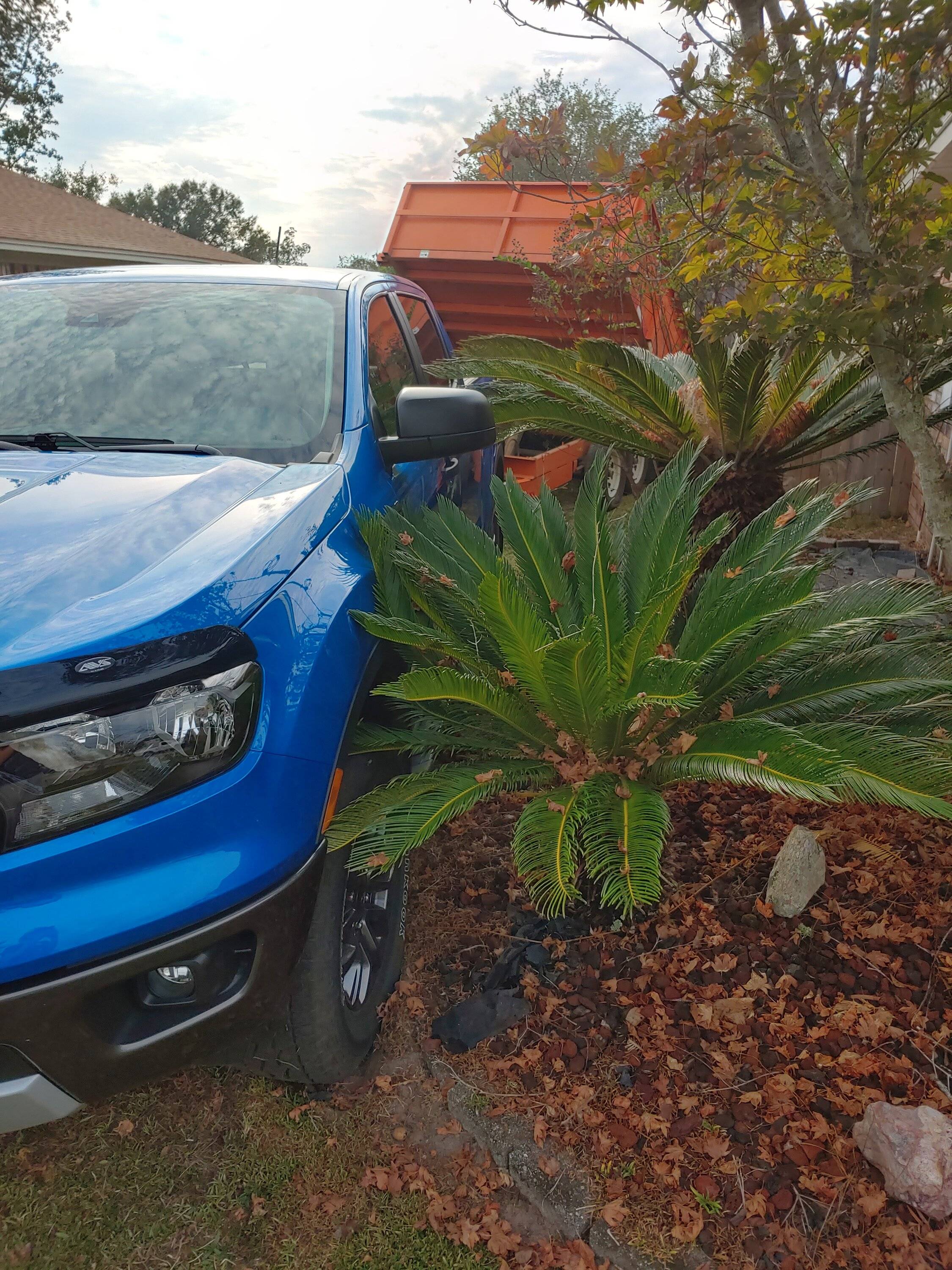 20221017_163046_HDR.jpg