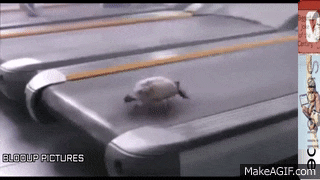 1iZ9CH.gif
