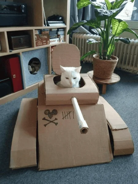 1665707702324M6.webp