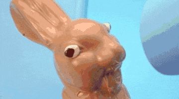 1666714559216.gif