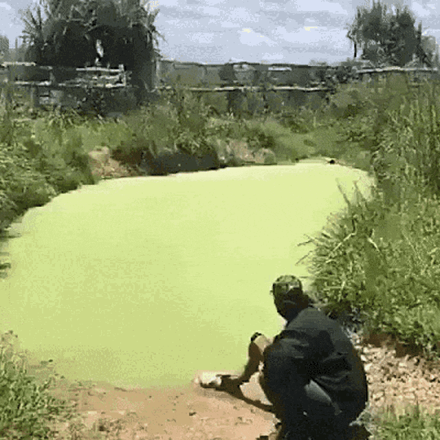 main-qimg-90fbbe1acfc940a9285d0c2a90cd31db.gif