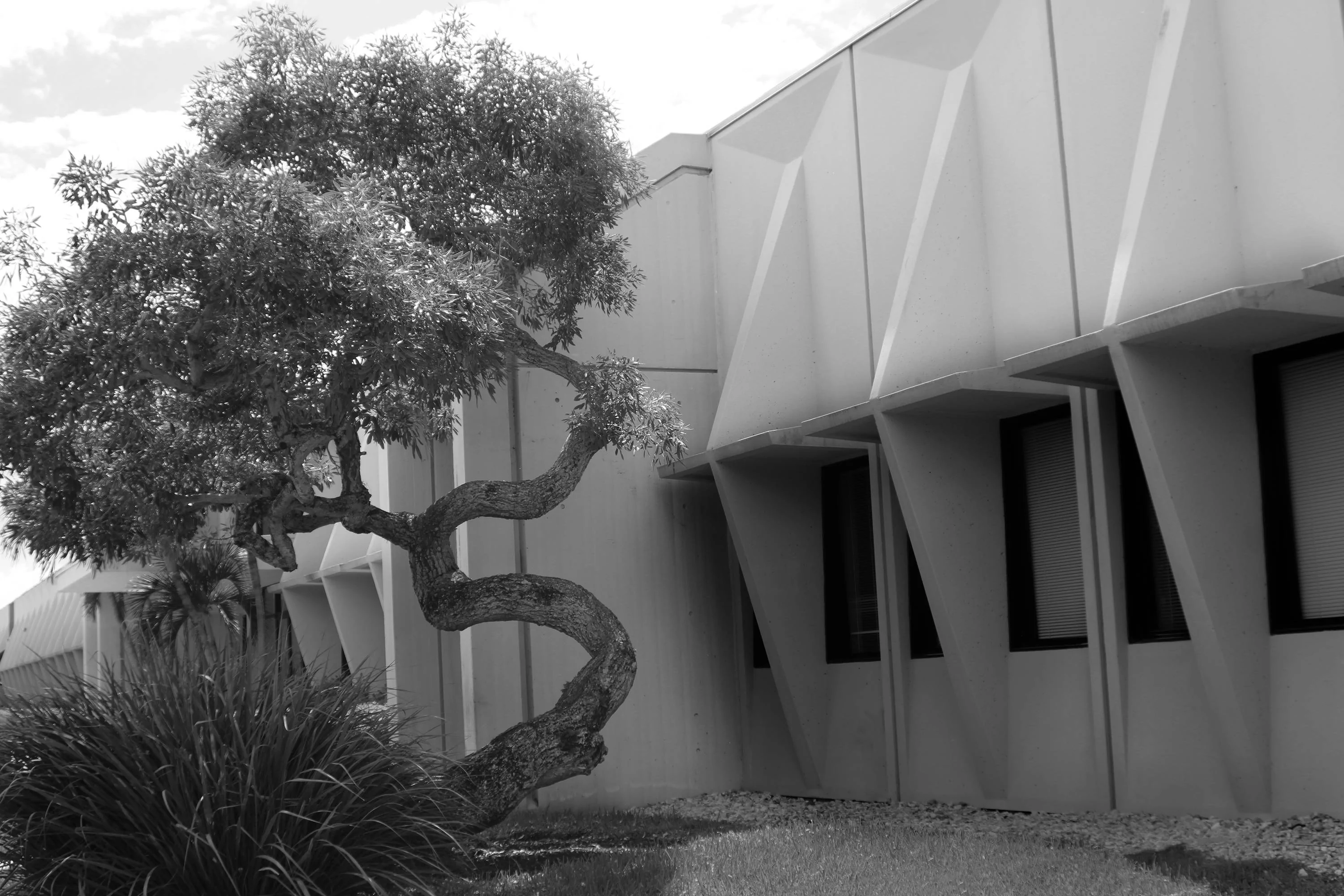Architecture_6_B&W_resized.jpg