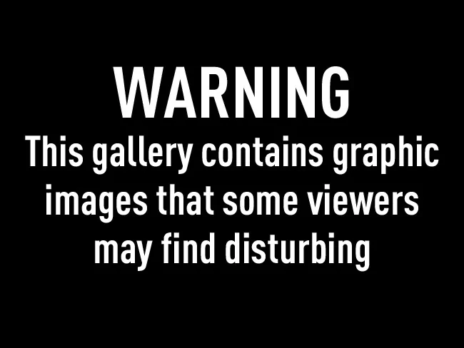 1667073825092.webp