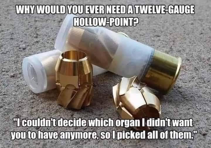 12 Gauge.jpg
