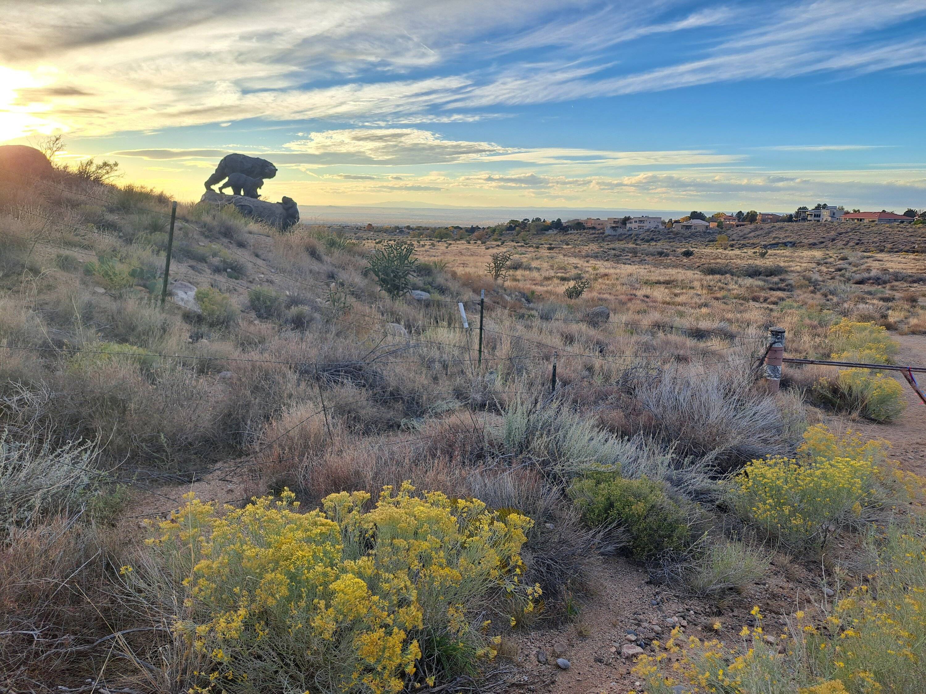 View 3 of nama bear & cubs.jpg