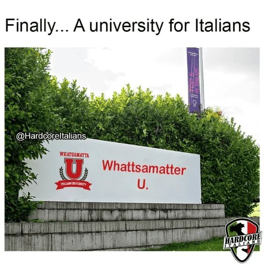 1666880704512M6.png