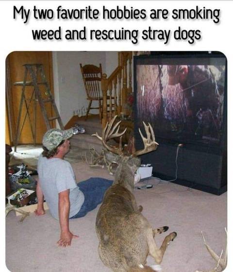 Weed.jpg