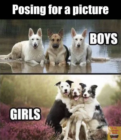 boysandgirls.webp