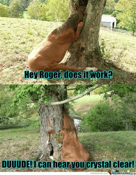 1667559493142.png