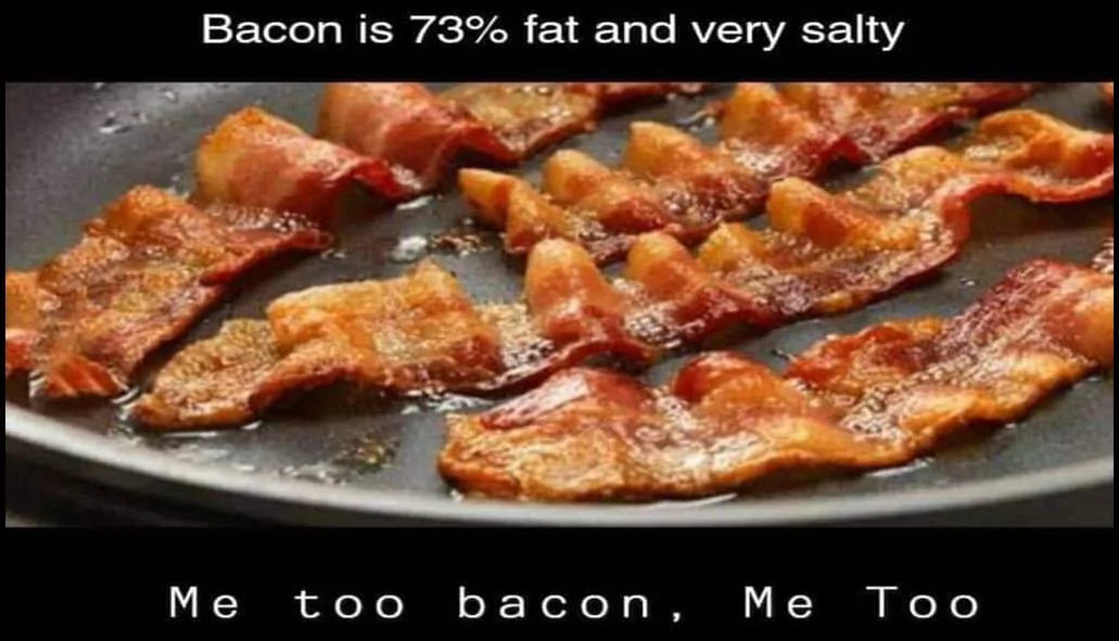 171287753.U4AoCZbn.baconbaconis73fatandverysalty.webp