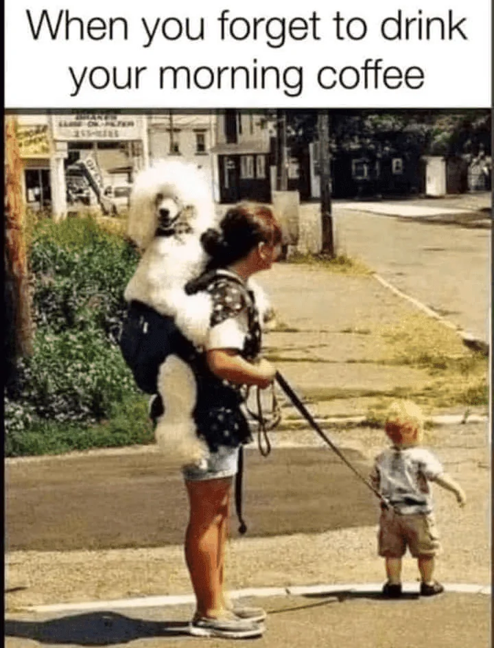 coffee.webp