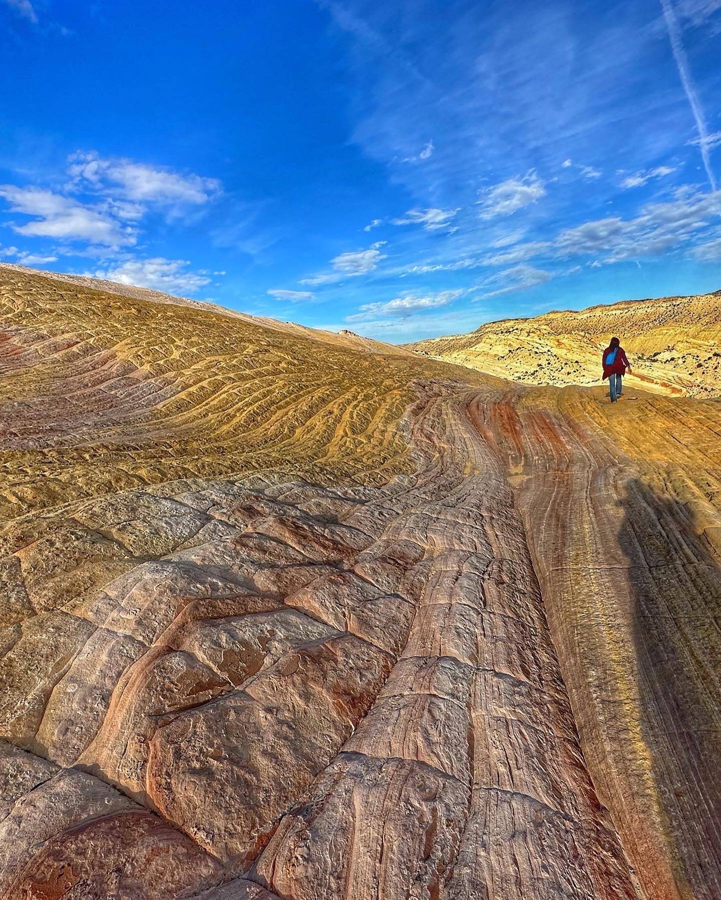 05675232-3D23-46E2-904A-0F7D410768B6.jpeg