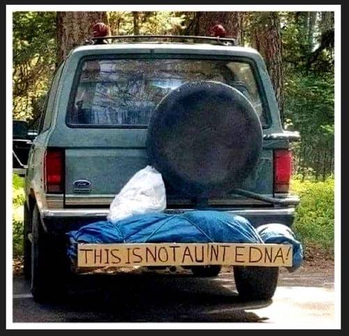 AuntEdna.jpeg
