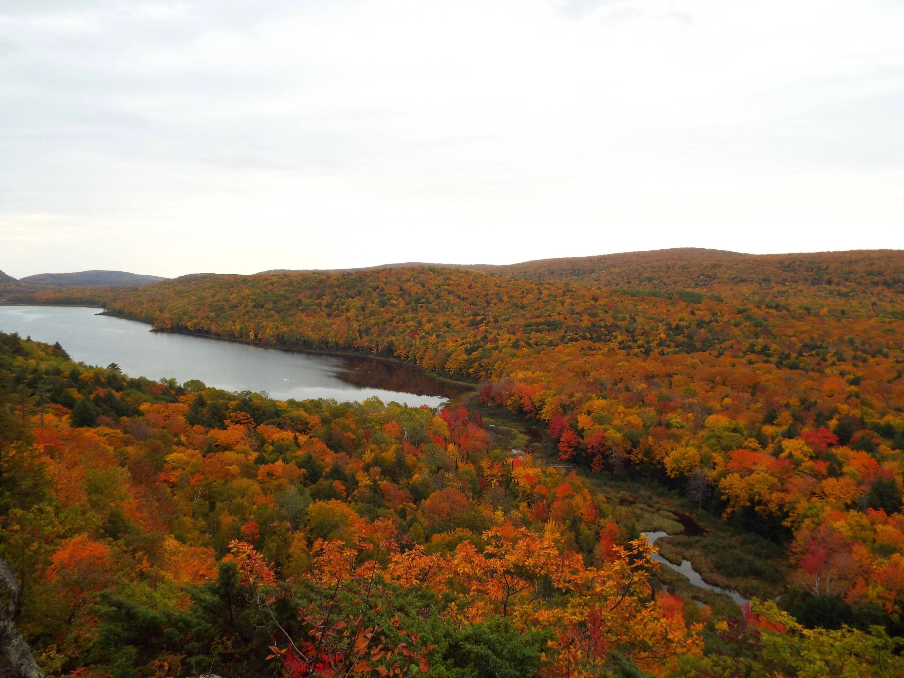 DSCF2269.webp