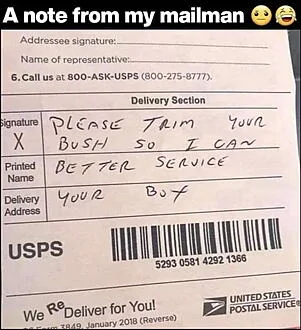 mail.webp