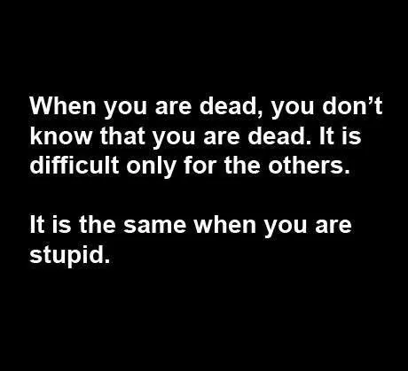 2E232F48-7365-4D00-89CE-953F1BDBE51F.webp
