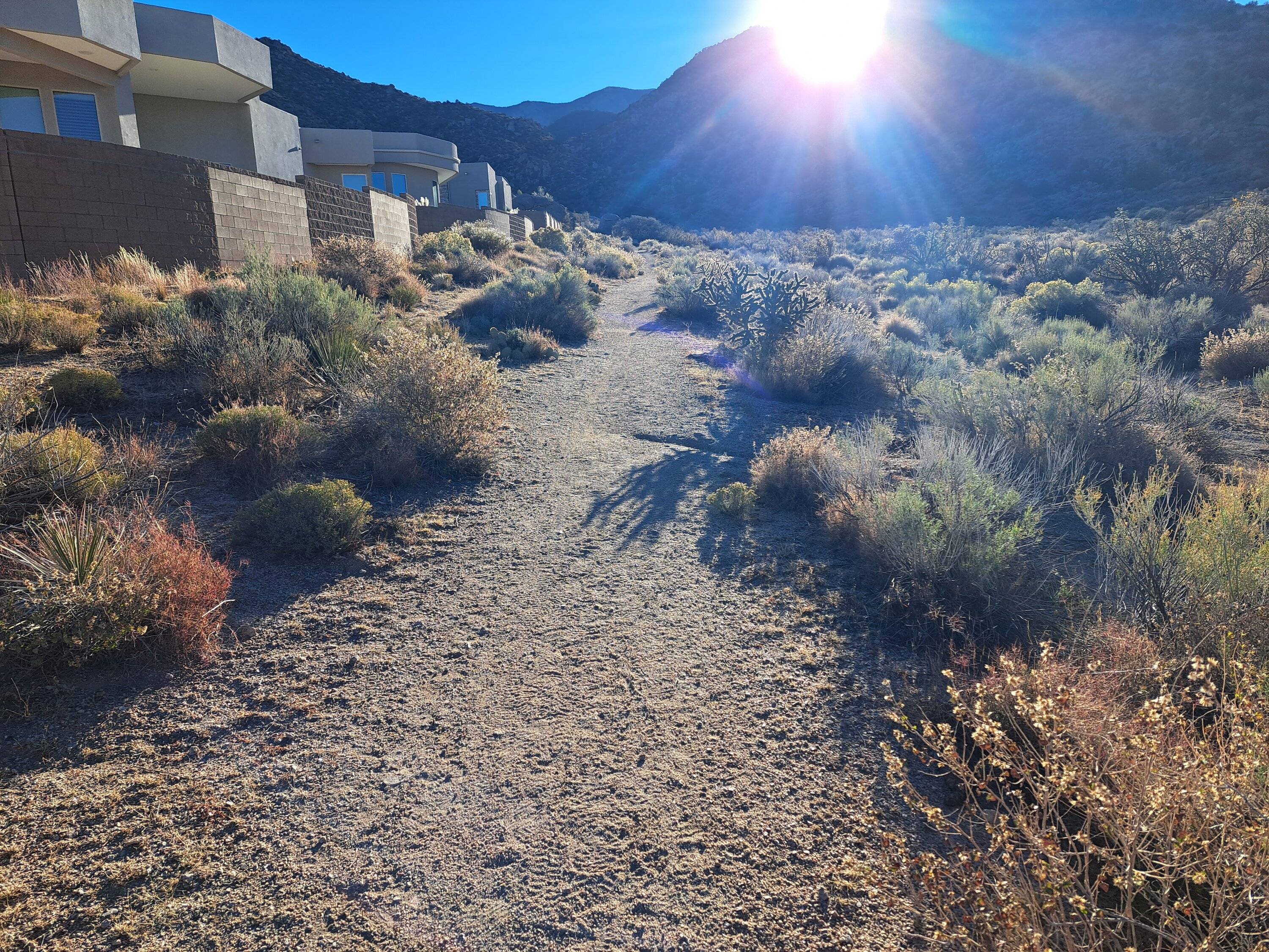 Trail behind some homes.jpg