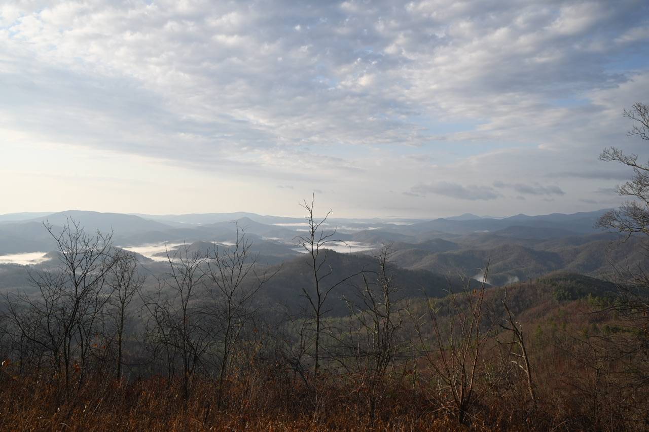 26B7D9B1-3BDF-474B-928B-44FA7F05094C.jpeg