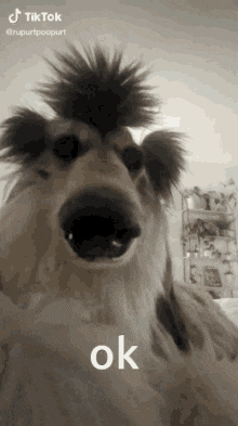 1668369773713.gif