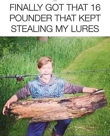 lure.jpeg
