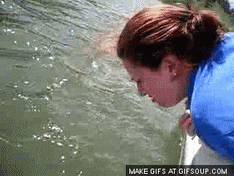 EntireBountifulIndianrockpython-size_restricted.gif