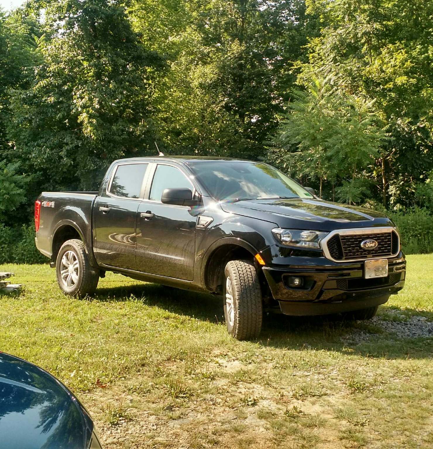 Ranger175.jpg