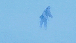 E9F837B7-667E-4A7E-BD9D-5B3ECAB4B315.gif