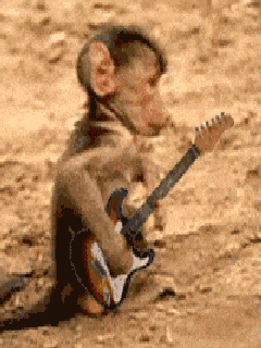 1668989122442.gif
