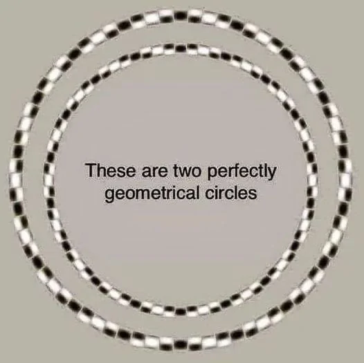 Circles.webp