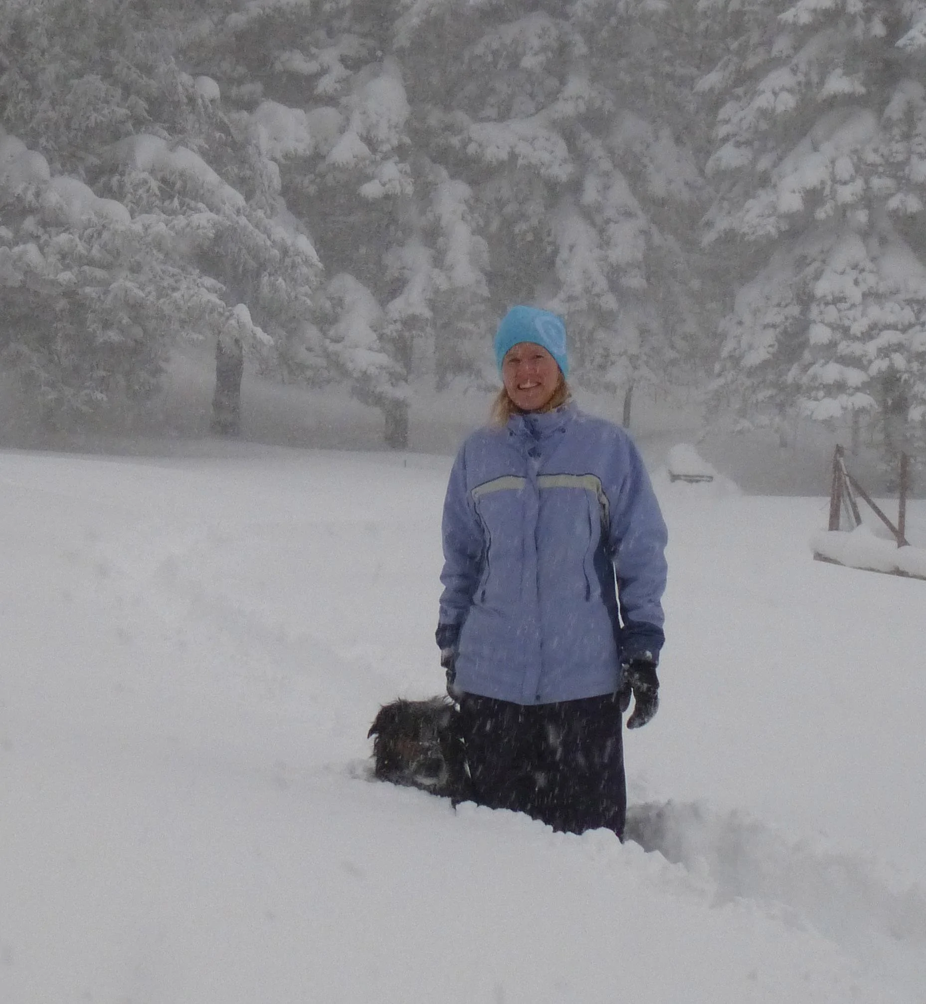 yard snow deep.jpg