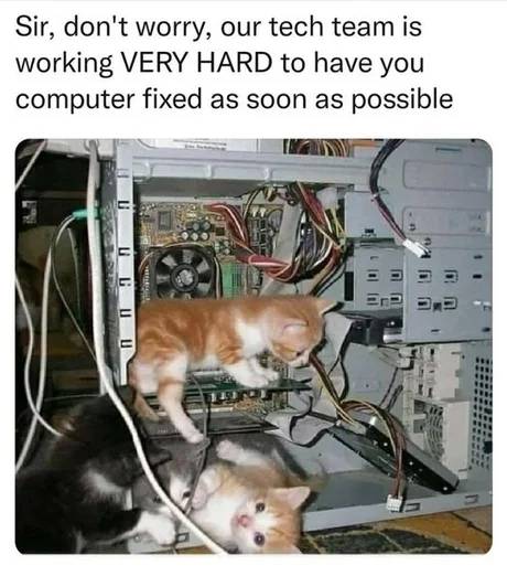 250B5Tech Help-M6.jpeg