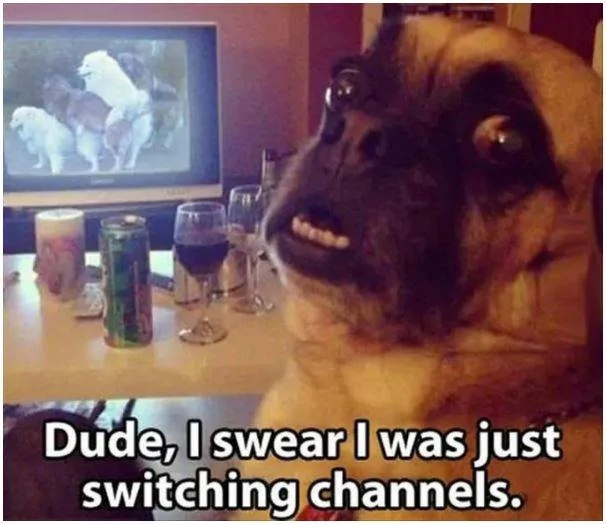 Switching Channels.webp
