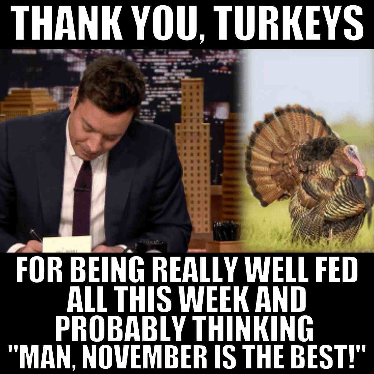 thanksgiving-turkey-meme.jpeg