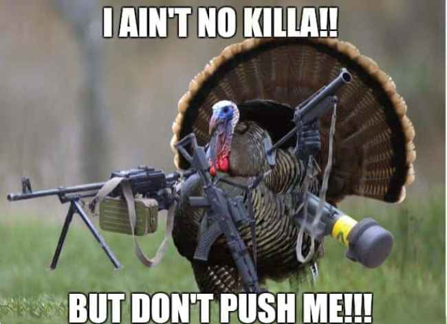 Don't Push Me.jpg