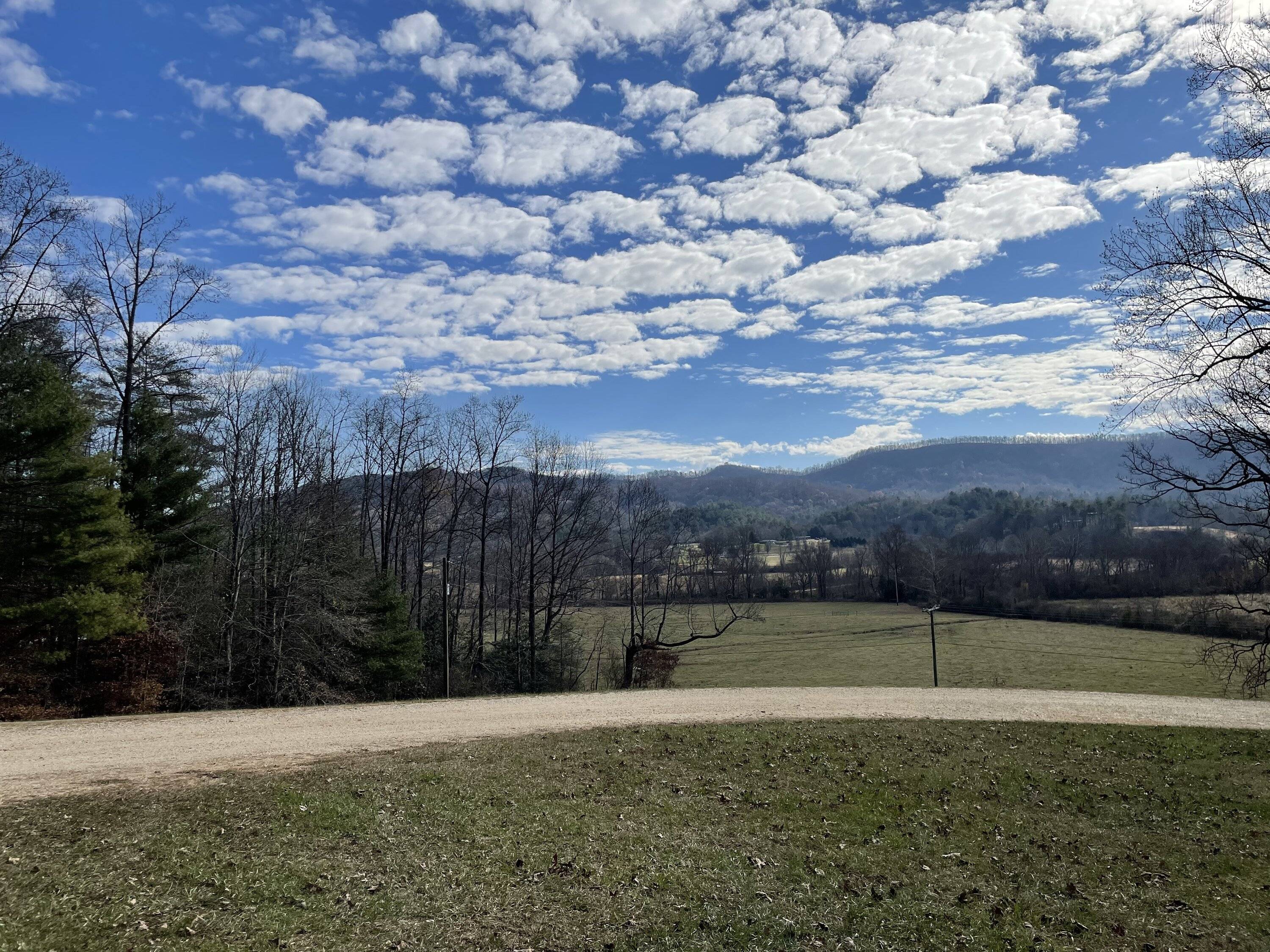 1F249827-4060-467A-8E5D-883ABF42049A.jpeg