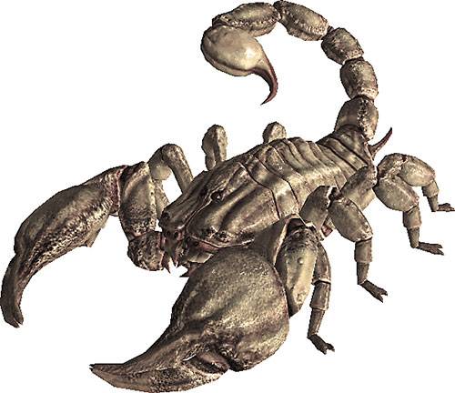 Radscorpion-Fallout.jpg
