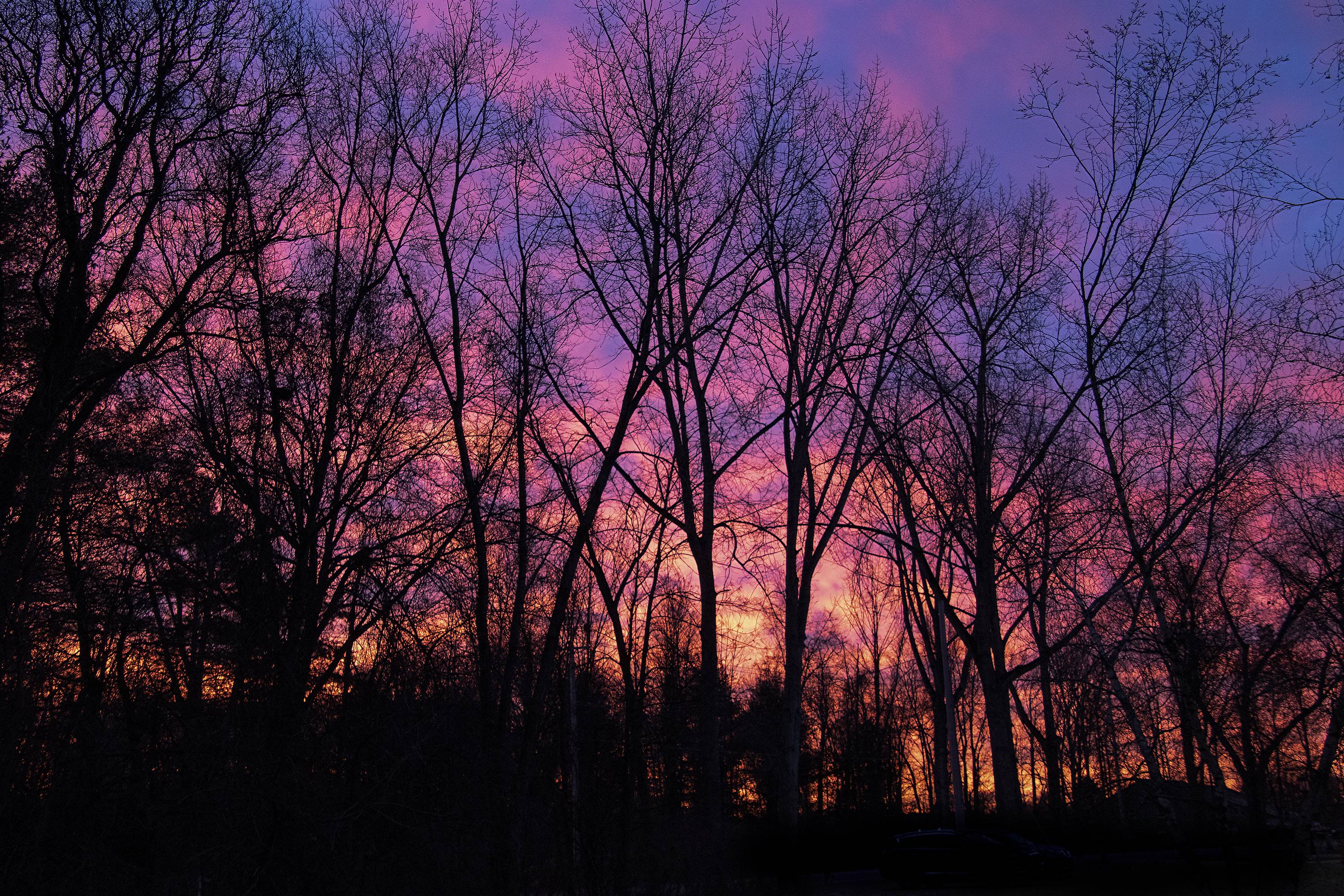sunrise 11.27.22 small.jpg