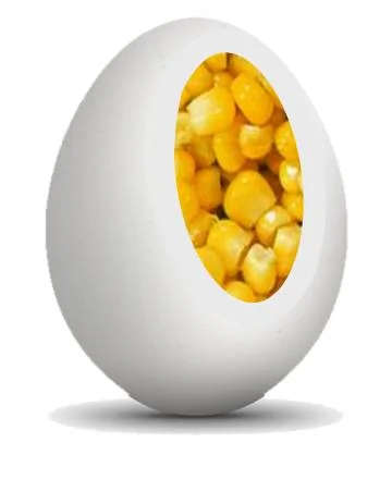 2FAAAAAAAAApo%2FeIngo6QoISU%2Fs1600%2FEggcorn%2Bv3.webp