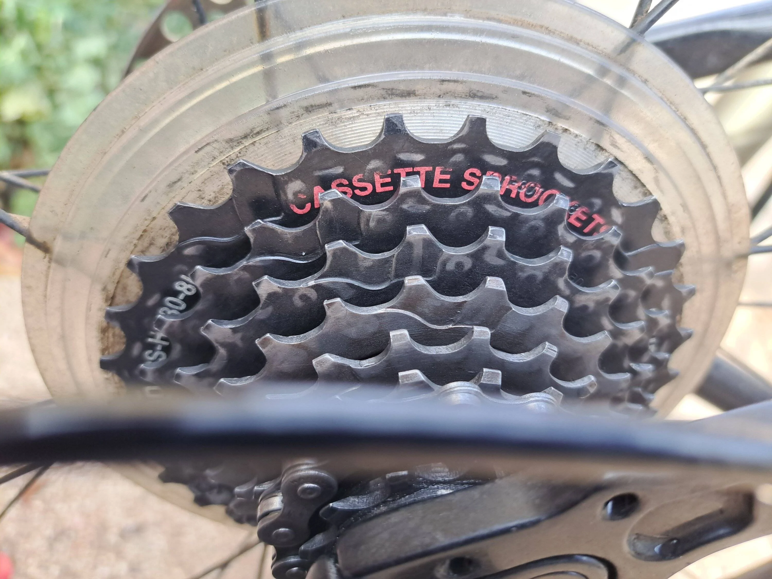Clean rear cassette.jpg