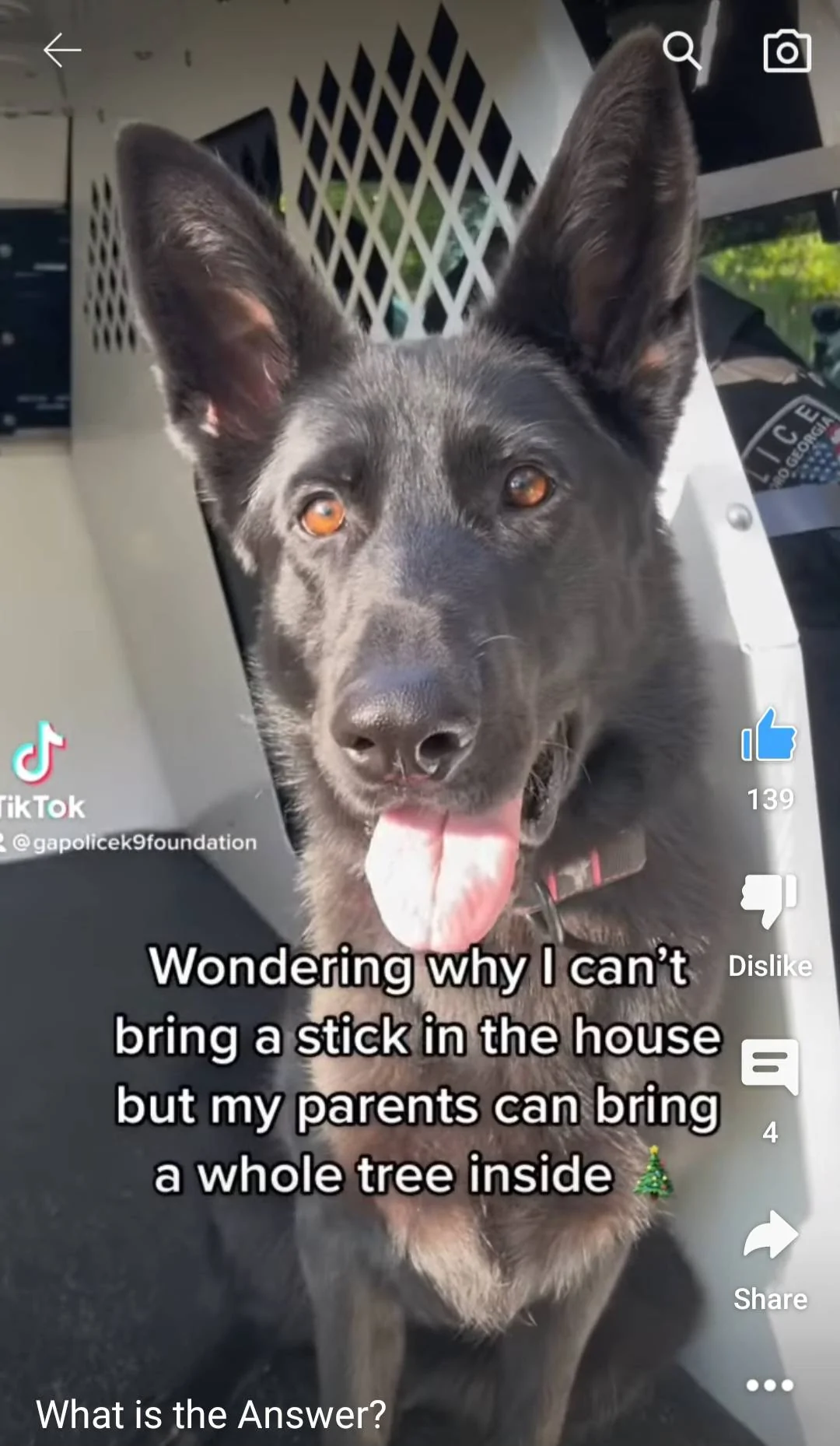 Screenshot_20221202_093629_YouTube.webp
