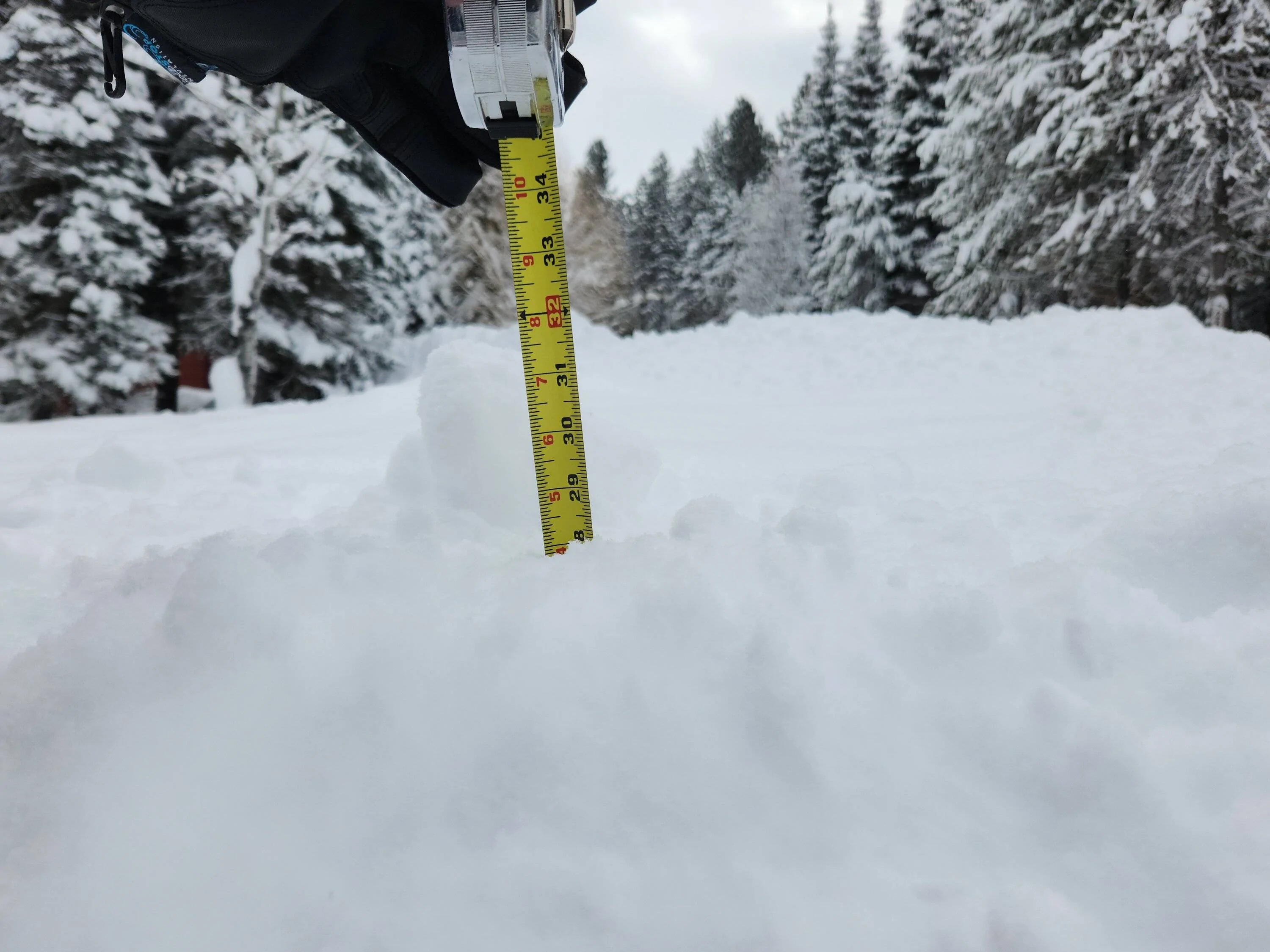 driveway 120222 2.jpg