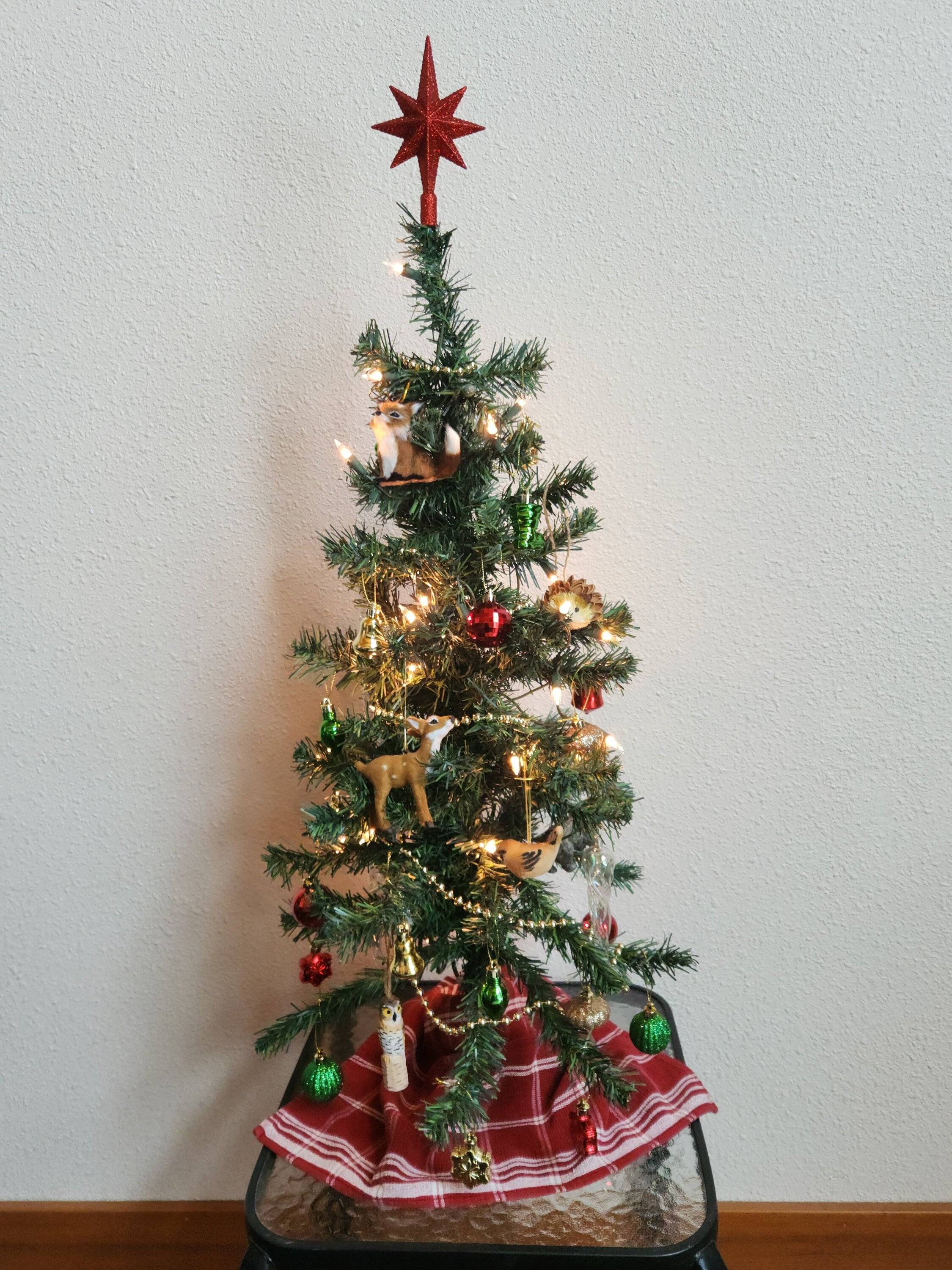 Cabin tree.jpg